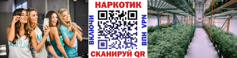 Наркошоп купить ГАШ Кокаин Галлюциногенные грибы МЕФ Дубовка
