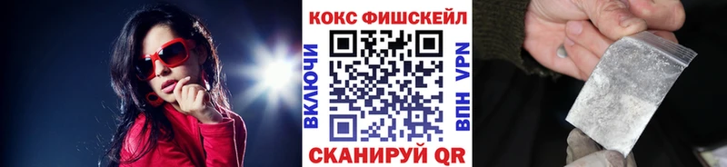 Кокаин FishScale  Купить  Дубовка 