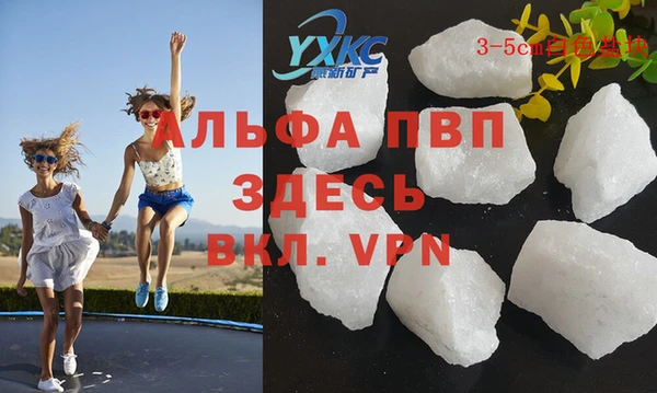сатива Приозерск