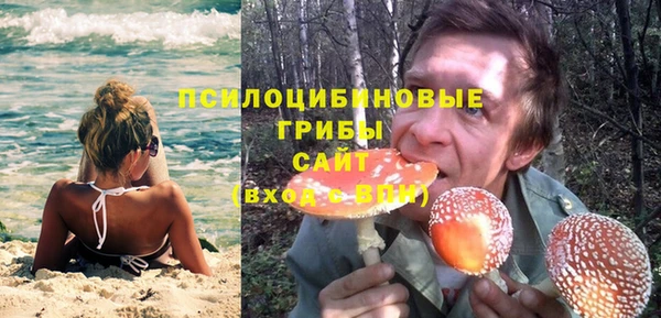 МДПВ Пролетарск
